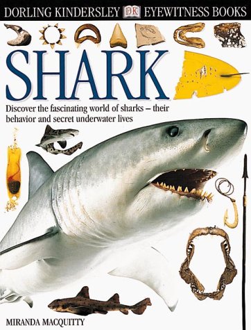 Imagen de archivo de Shark a la venta por Better World Books