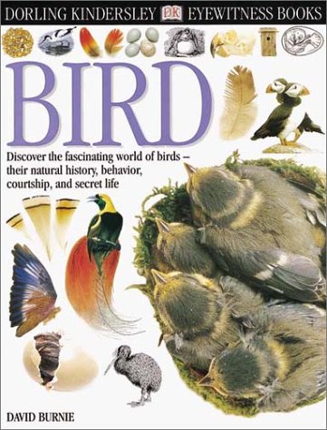 Beispielbild fr Bird zum Verkauf von Better World Books