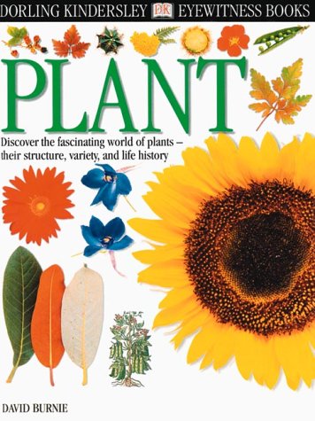 9780789458124: Plant (Eyewitness Books)