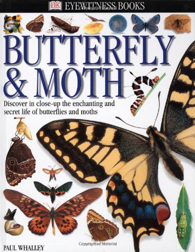 Stock image for Butterfly and Moth for sale by Better World Books