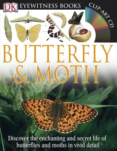 Stock image for DK Eyewitness Books: Butterfly and Moth for sale by ThriftBooks-Atlanta