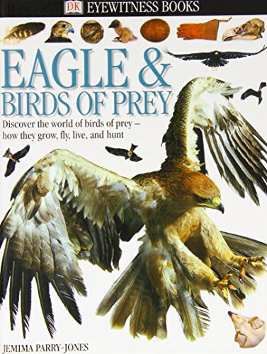 Stock image for Eyewitness: Eagles & Birds of Prey for sale by Wonder Book