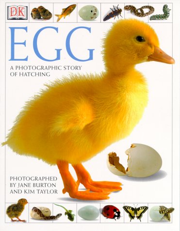 9780789460691: Egg: A Photographic Story of Hatching