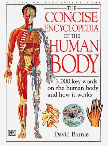 Beispielbild fr Human Body zum Verkauf von Better World Books
