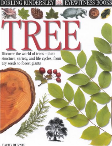 9780789465542: Tree (Eyewitness Books)