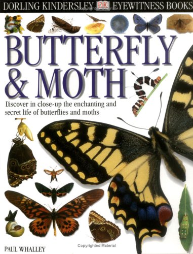 Stock image for Eyewitness: Butterfly & Moth (Eyewitness Books) for sale by Booksavers of MD