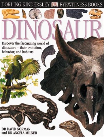 Imagen de archivo de Dinosaur! a la venta por Better World Books