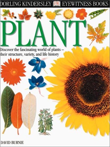 9780789465634: Plant (Eyewitness Books)