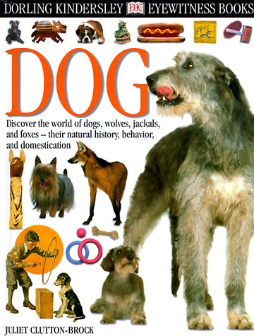 Stock image for Dog for sale by Better World Books
