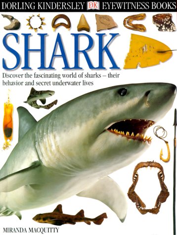 Beispielbild fr Eyewitness: Shark (Eyewitness Books) zum Verkauf von Wonder Book