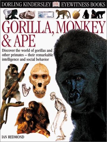 Imagen de archivo de Gorilla a la venta por Better World Books