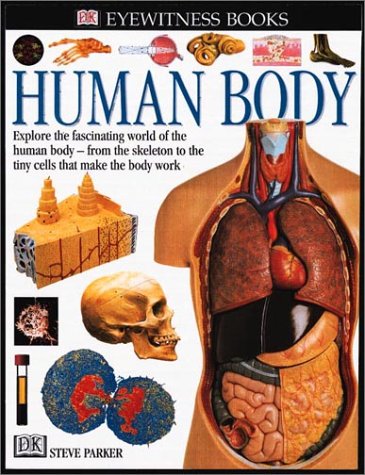 Beispielbild fr Human Body zum Verkauf von Better World Books: West