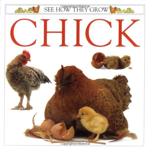 Imagen de archivo de Chick a la venta por Better World Books