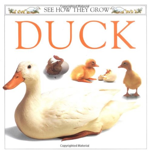 See How They Grow: Duck (9780789476555) by Ling, Mary