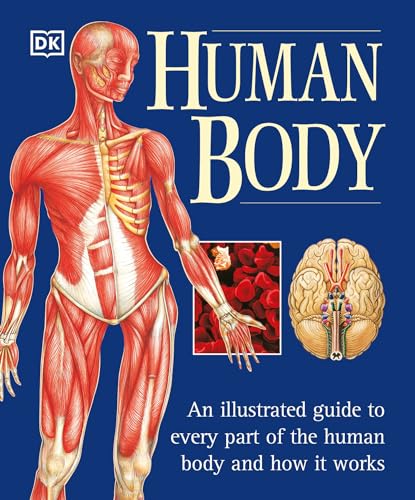 Stock image for The Human Body An Illustrated for sale by SecondSale