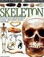Imagen de archivo de Skeleton (Dorling Kindersley Eyewitness Books) a la venta por New Legacy Books