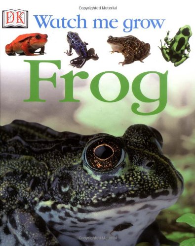 Beispielbild fr Frog zum Verkauf von ThriftBooks-Atlanta