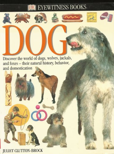 Imagen de archivo de Dogs a la venta por Wonder Book