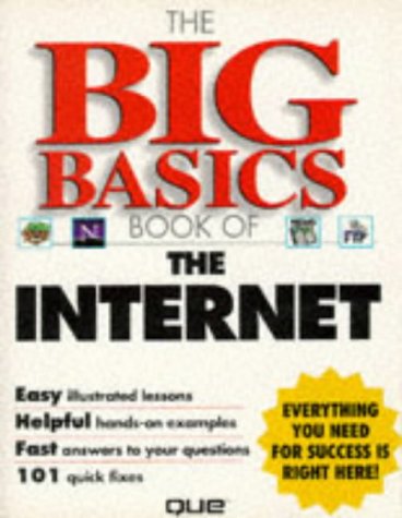 Imagen de archivo de The Big Basics Book of the Internet a la venta por Wonder Book