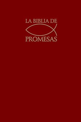 9780789909626: Biblia de promesas/ The Promise Bible