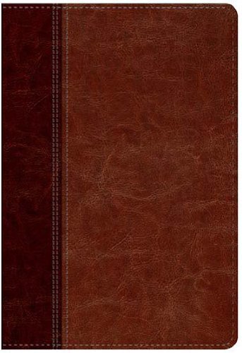 9780789918499: NTV Santa Biblia/ NLT Holy Bible: 2 Tonos Caf Claro & Caf/ 2 Tone Brown & Light Brown