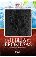 Biblia de Promesas-Rvr 1960 (Spanish Edition) (9780789920348) by RV 1960