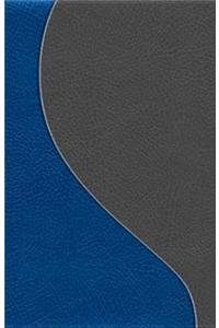 Biblia de Promesas DOS Tonos Piel ESP. Negro y Azul: Promise Bible 2 Tones Bonded Leather Black & Blue (Spanish Edition) (9780789920409) by RV 1960