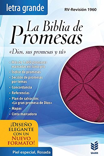 9780789920997: La Biblia de Promesas-Rvr 1960