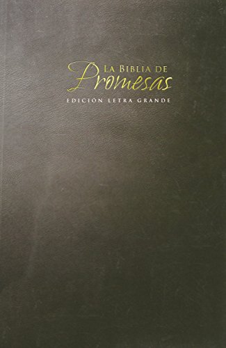 9780789921222: La Biblia de Promesas-Rvr 1960-Letra Grande