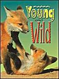 Young and Wild (Wildcats - Cougars) (B13) (9780790125794) by Laura Hischfield; Linda Johns; Jack Kimble; Carrie Waters