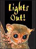 Beispielbild fr Lights Out! (Wildcats) zum Verkauf von AwesomeBooks
