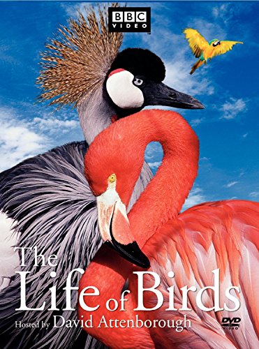 Stock image for The Life of Birds for sale by The Unskoolbookshop