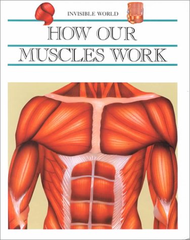 Stock image for How Our Muscles Work (Invisible World) for sale by Wonder Book