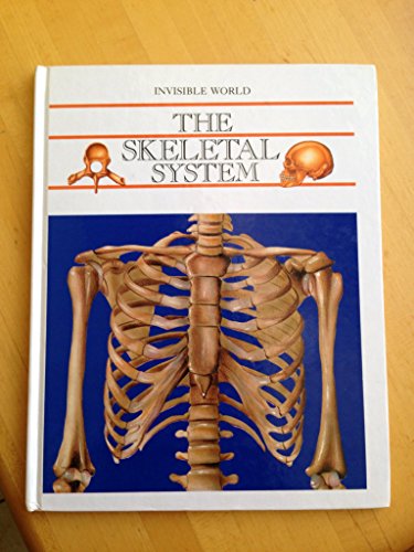 Stock image for The Skeletal System (Invisible World) for sale by Irish Booksellers