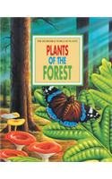 Stock image for Plants of the Forest (The Amazing World of Plants) for sale by Booksavers of MD
