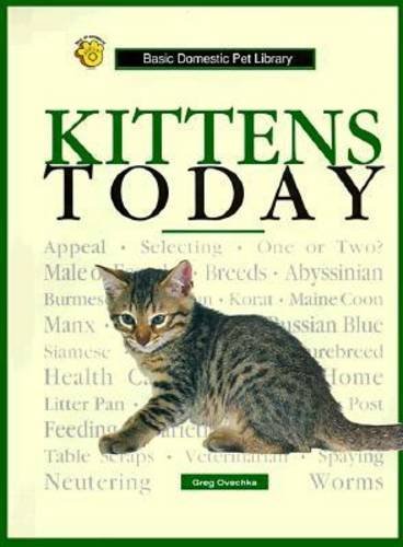 Stock image for Kittens Today : A Complete and Up-to-Date Guide for sale by Better World Books