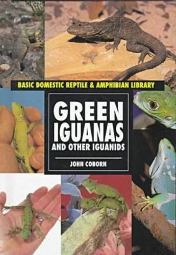 Imagen de archivo de Green Iguanas: And Other Iguanids (Basic Domestic Reptile & Amphibian Library) a la venta por HPB-Movies