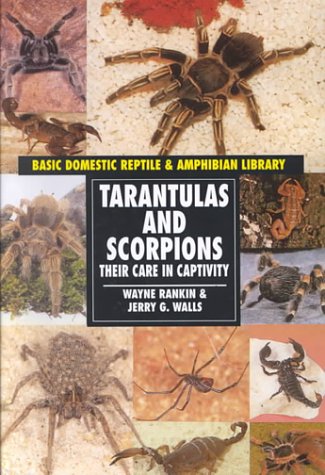 Beispielbild fr Tarantulas & Scorpions (Reptiles and Amphibians) zum Verkauf von Wonder Book