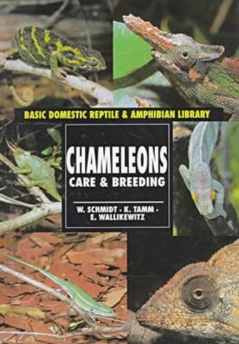 Imagen de archivo de Chameleons (Basic Domestic Reptile & Amphibian Library) a la venta por HPB-Diamond