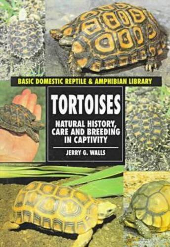 Beispielbild fr Tortoises (Basic Domestic Reptile & Amphibian Library) zum Verkauf von The Book Cellar, LLC