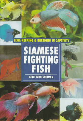 Beispielbild fr Siamese Fighting Fish zum Verkauf von Better World Books: West