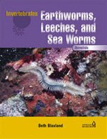 Stock image for Annelids (Invertebrates (Chelsea House)) for sale by Better World Books