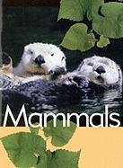 Stock image for Mammals (Animal Facts) for sale by Midtown Scholar Bookstore