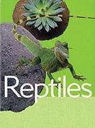 Stock image for Reptiles (Animal Facts) for sale by WorldofBooks