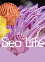 Beispielbild fr Sea Life zum Verkauf von Better World Books