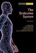 Beispielbild fr The Endocrine System zum Verkauf von Better World Books