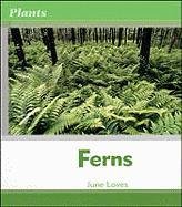 Beispielbild fr Ferns (Plants) zum Verkauf von WorldofBooks