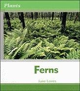 Stock image for Ferns (Plants) for sale by The Book Cellar, LLC