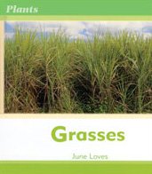 Stock image for Grasses (Plants) for sale by WeSavings LLC