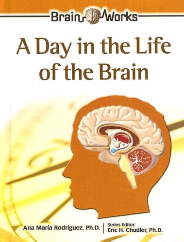 Imagen de archivo de A Day in the Life of the Brain (Brain Works) a la venta por RiLaoghaire
